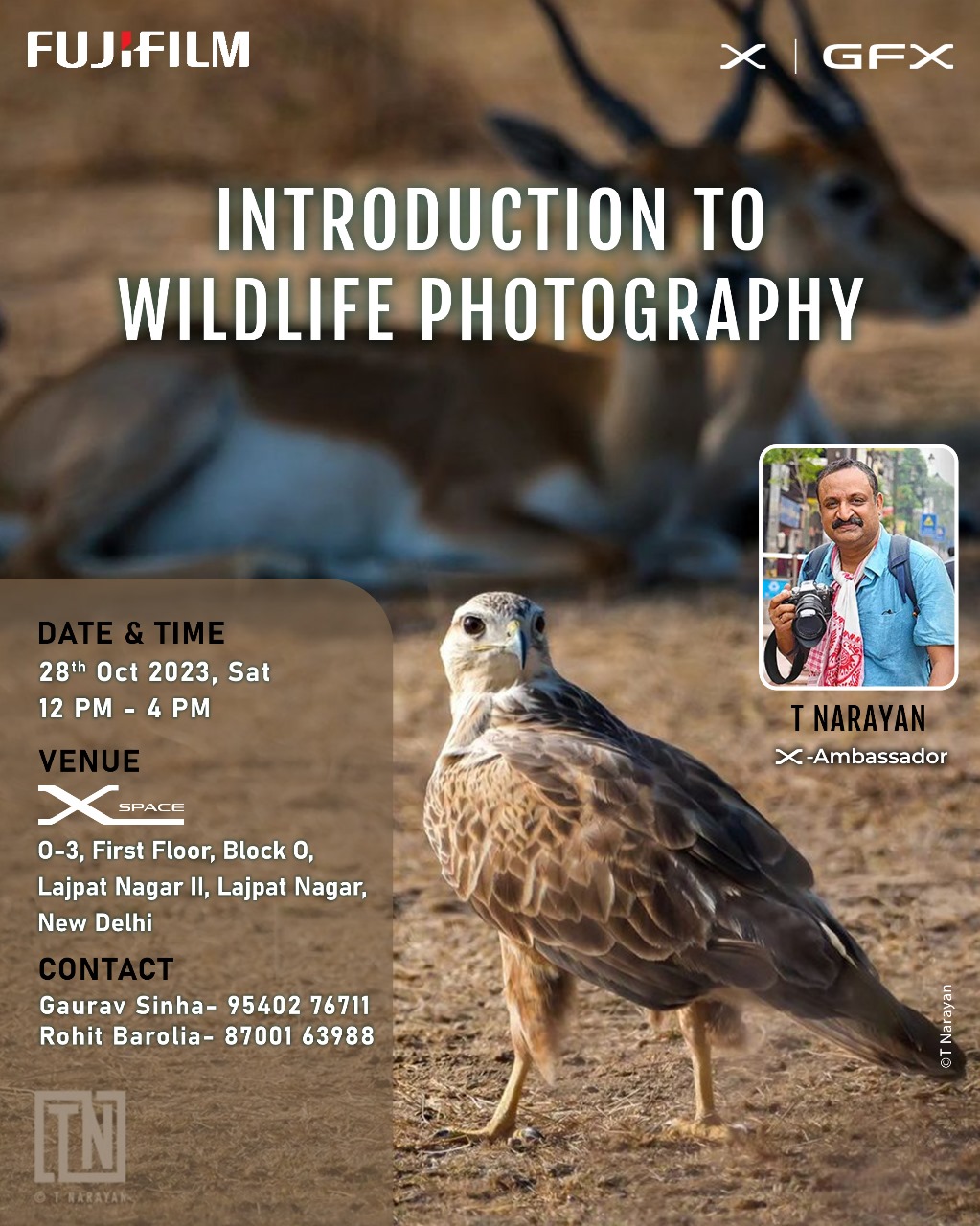 Introduction to Wildlife Photography