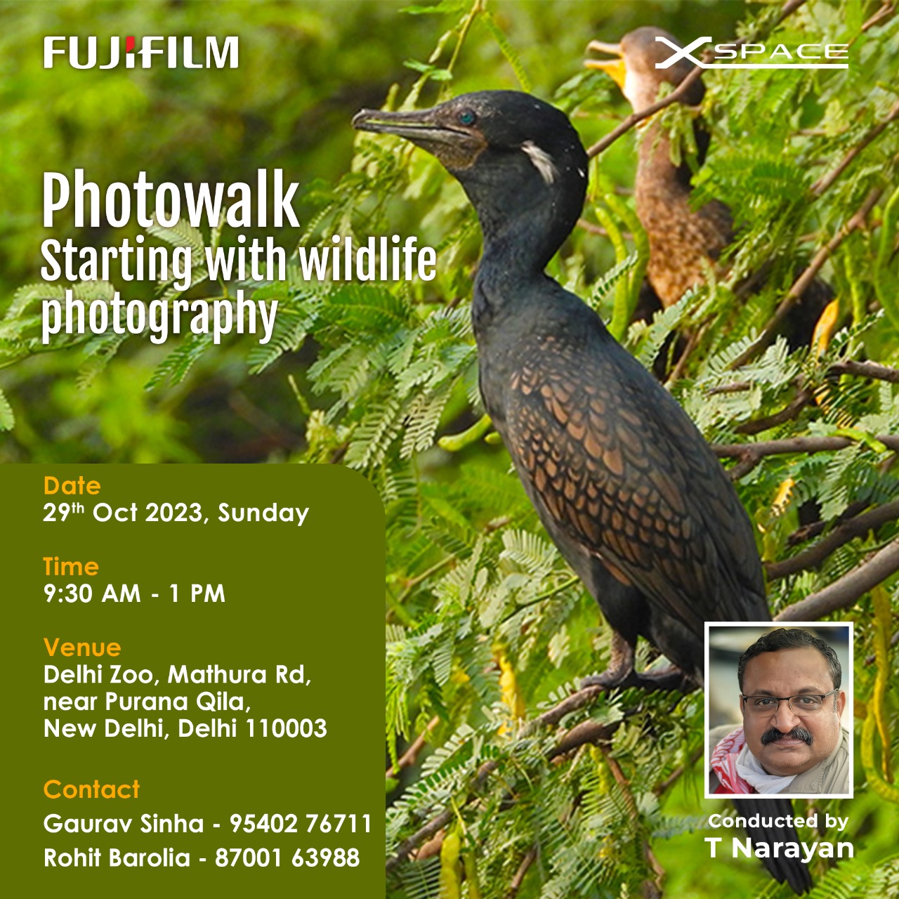 Photowalk Starting with Wildlife Photography