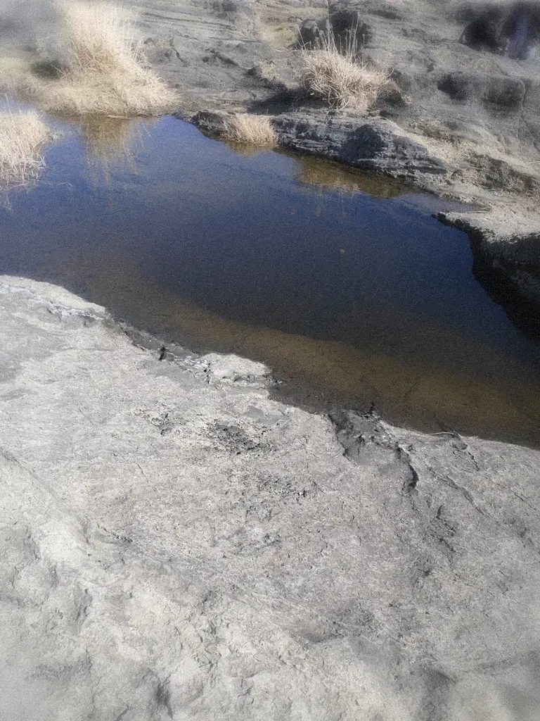 Additional Image 3