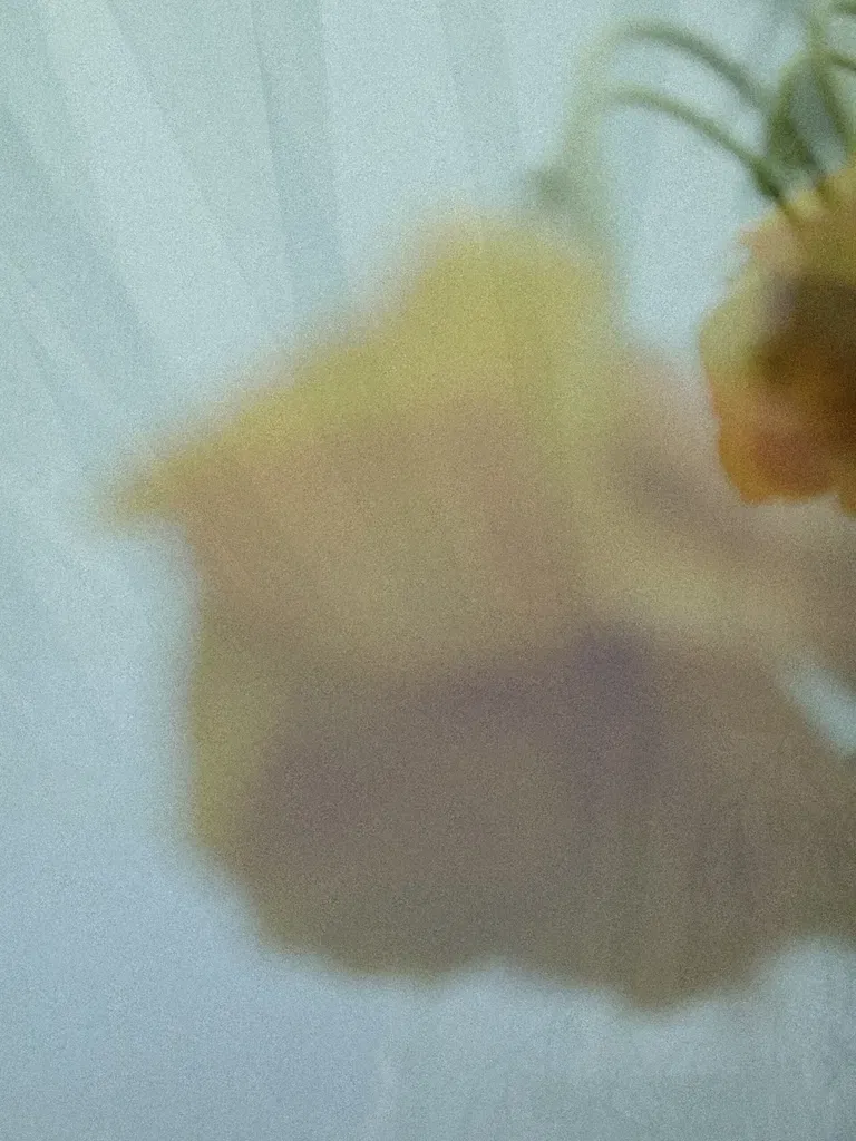 Additional Image 1